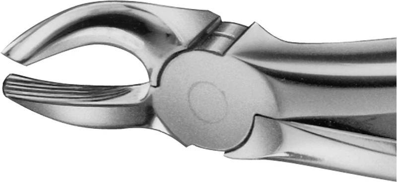 Anatomica-Zahnzangen  Stück  DG195R, für obere Molaren, Weisheitszähne