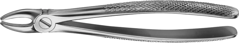 Anatomica-Zahnzangen  Stück  DG005R, für obere Schneide und Eckzähne