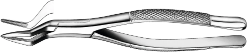 Zahnzange, amerikanische Form  Stück  OK für Wurzeln, Schneidezähne