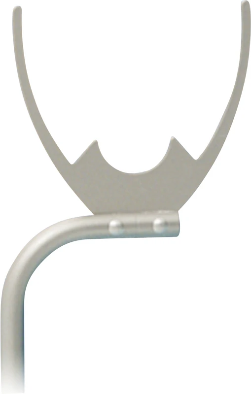 DEN Bissgabel  Stück  schmal