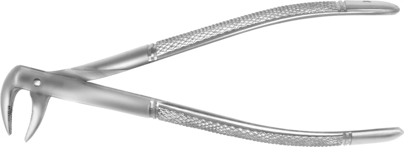 Zahnzangen Unterkiefer  Stück  FX74NE, untere Schneidezähne