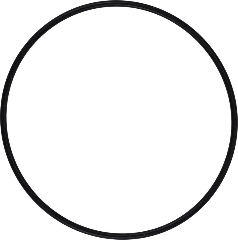 AIR-FLOW® O-Ring  Stück  für Pulverkammer