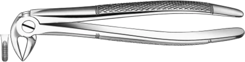 Zahnzangen  Stück  33, UK für Wurzeln