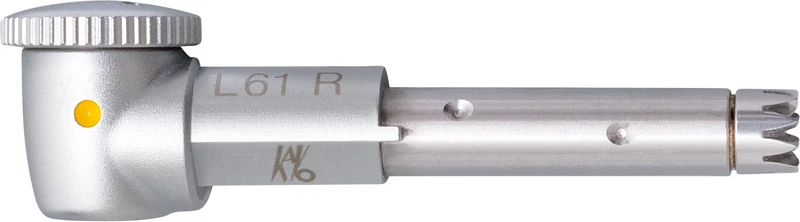 INTRA EVA Kopf L61 R  Stück  1:1