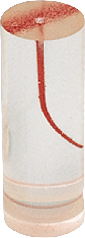 Endo-Trainer  Stück  mit roter Wurzelkanalwandung, Wurzelkanalkrümmung 20°