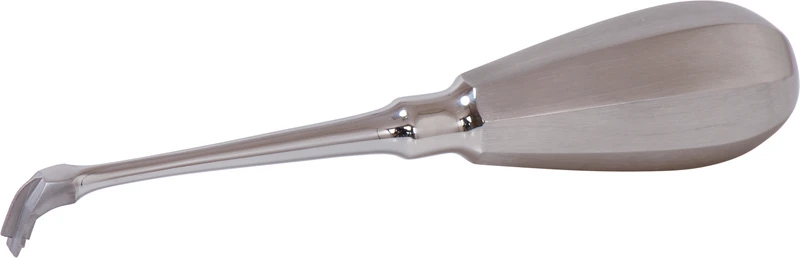 Kronenaufbieger  Stück  universal