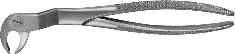 Anatomica-Zahnzangen nach Routurier  Stück  DG542R, rechts