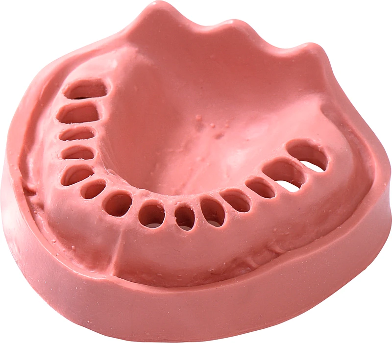 Modelle Gingiva  Stück  OK TZ 14