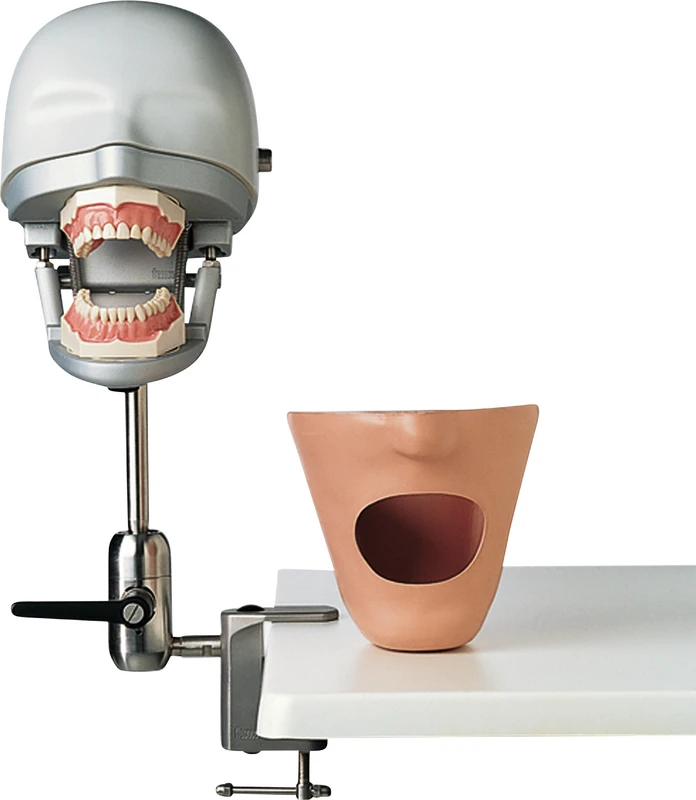 Dental-Übungsgerät P-6\3 PT  Stück  Dental-Übungsgerät