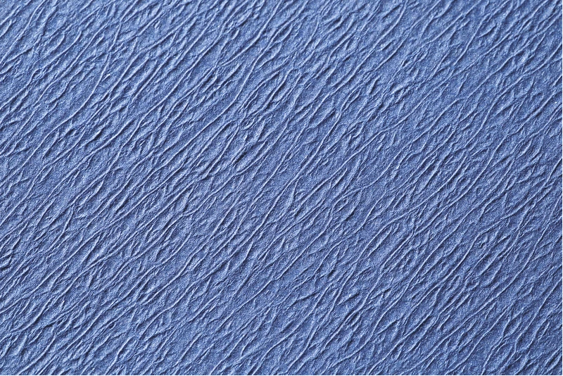 Dental Tray-Einlagen  Karton  10 x 250 Stück 18 x 28 cm, med blau