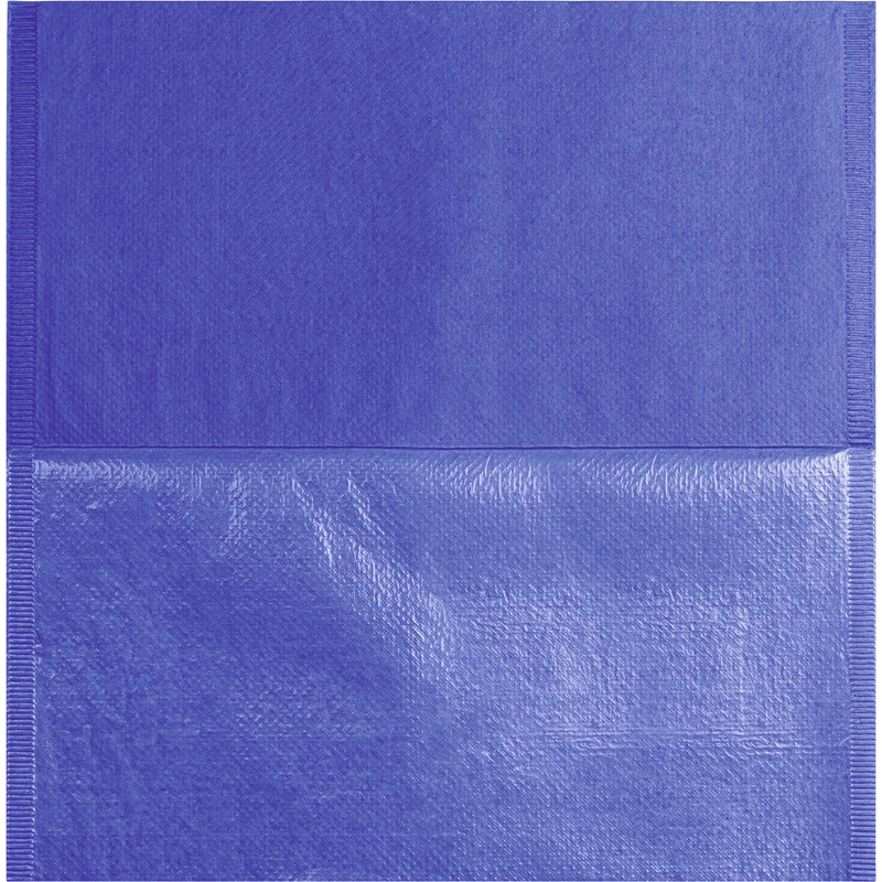 Monoart® Kopfschutztaschen   Spenderbox  250 Stück capriblau, 33 x 34 cm