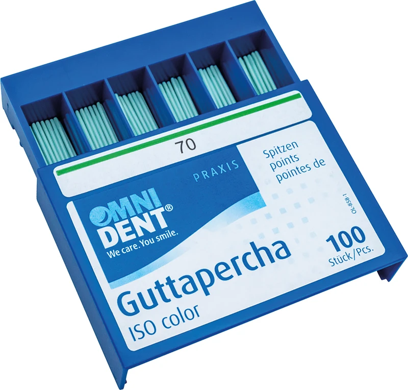 Guttaperchaspitzen  Packung  100 Stück ISO 070