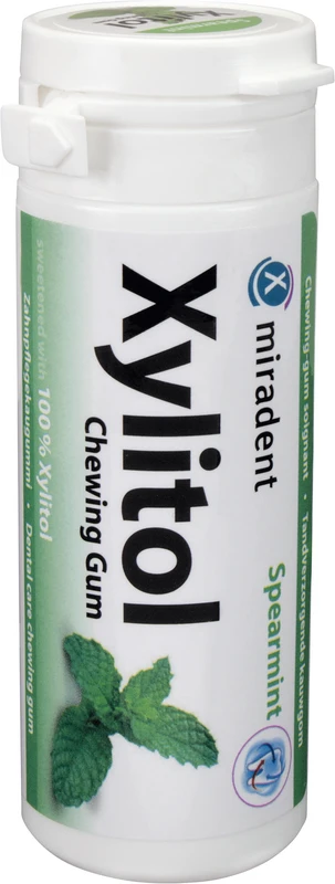 Xylitol Chewing Gum  Dose  30 Stück Minze