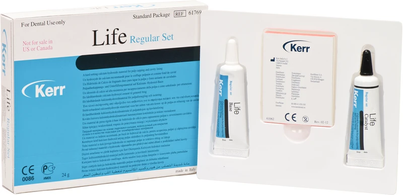 Life  Packung  12 g Basis- und Katalysatorpaste regular, 1 Anmischblock