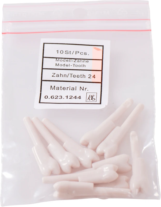 Schnappzahn Modell Prämolar  Packung  10 Stück Nr. 24