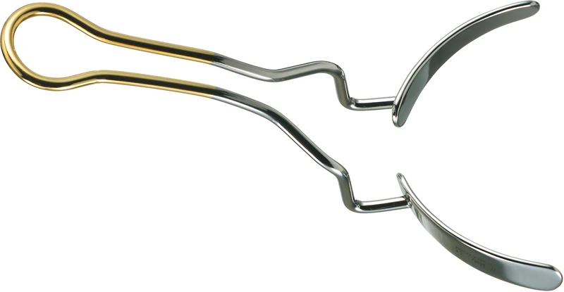 Wangenhalter  Stück  2513