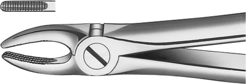 Zahnzangen nach Büchs  Stück  M2002, OK für Schneidezähne, Eckzähne