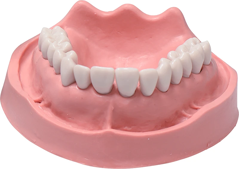 Simulatormodelle  Stück  OK TZ 14