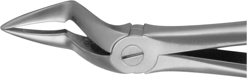 Anatomica-Zahnzangen nach Kaiser  Stück  DG340R, für obere Wurzeln