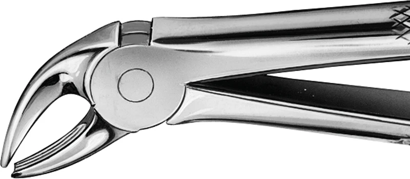 Anatomica-Zahnzangen  Stück  DG404R, für untere Schneidezähne