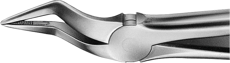 Anatomica-Zahnzangen nach Büchs  Stück  DH750R, für obere Wurzeln, schmales Maul