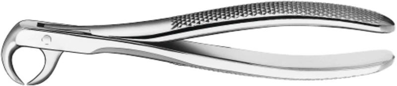 Zahnzangen  Stück  E86C, für Molaren