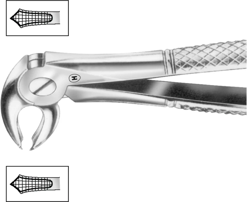 Zahnzangen  Stück  HSA 573-22, Figur 22, für untere Molaren, beide Seiten