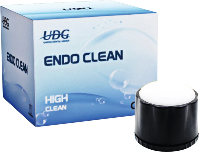 Endo Clean Box  Stück