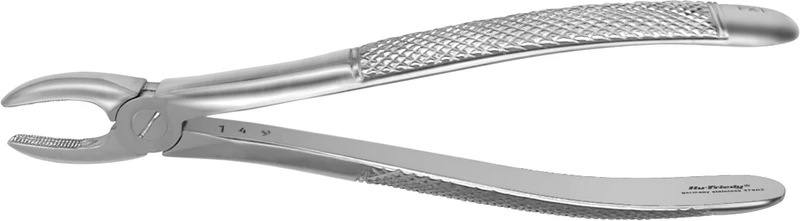 Zahnzangen Oberkiefer  Stück  FX1E, obere und mittlere Schneide- und Eckzähne