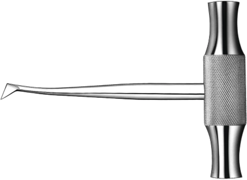 Wurzelheber nach Winter  Stück  525\11R
