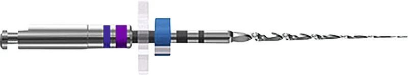 FKG RaCe   Packung  6 Stück 21 mm ISO 010, 6 %