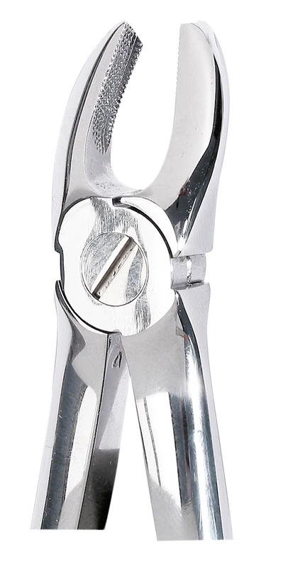 Zahnzangen  Stück  OK Molar rechts 17