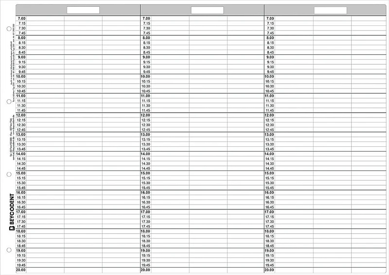 Terminblätter A3 für Ringbuch   Nachfüllpackung  53 Stück Typ 233