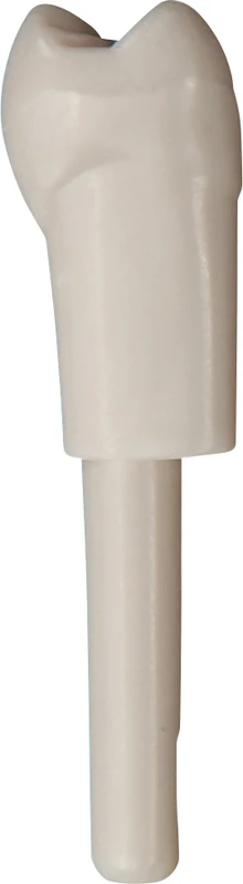 Schnappzahn Modell Prämolar  Packung  100 Stück Nr. 25