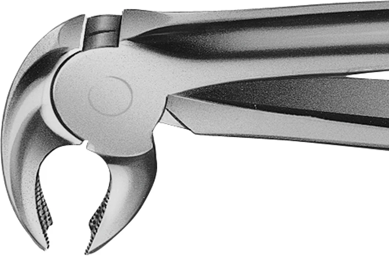 Anatomica-Zahnzangen nach Büchs  Stück  DH722R, für untere Molaren, beide Seiten