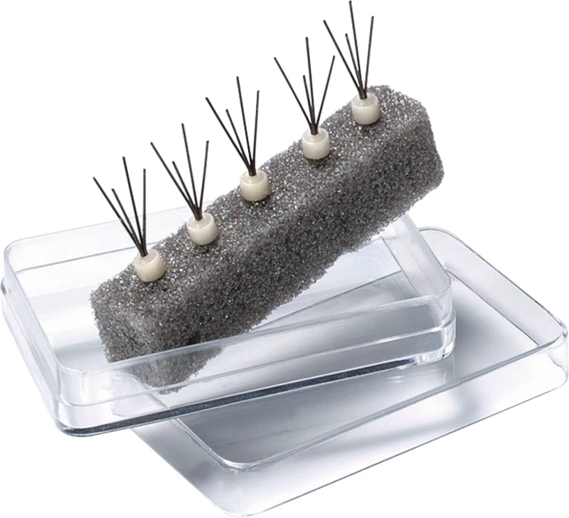 HeraCeram® Press Fächerpin  Packung  5 Stück