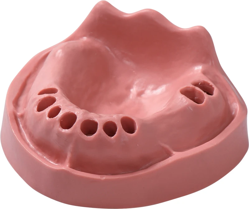 Modelle Gingiva  Stück  OK TZ 9N