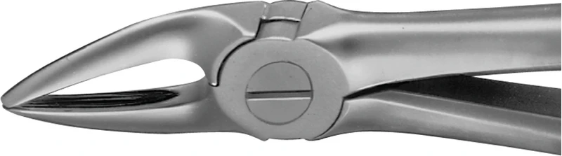 Anatomica-Zahnzangen  Stück  DG320R, für obere Wurzeln