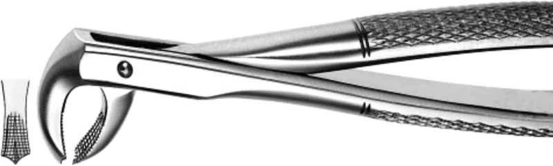 Zahnzangen  Stück  M73, UK für Molaren