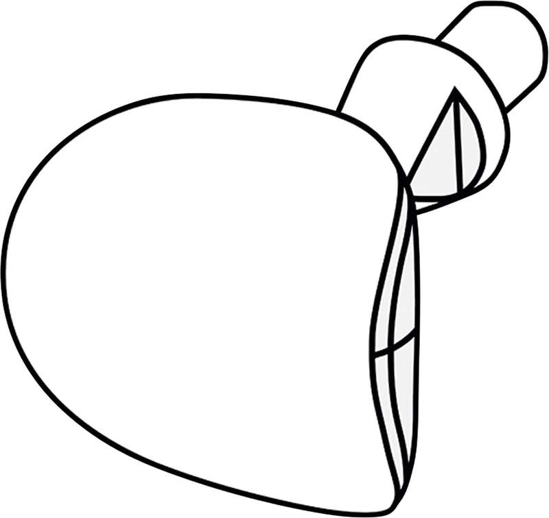 LM Cervical Matrizen  Packung  60 Matrizen, kleine Molaren