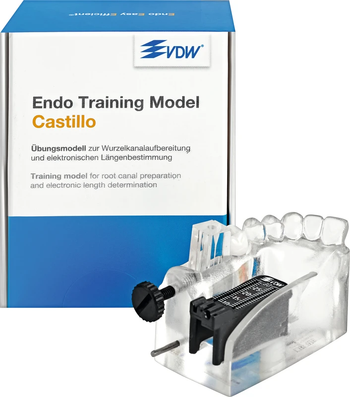 Endo Training Model Castillo  Stück