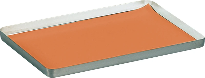 Tray-Filterpapier  Karton  10 x 250 Stück 18 x 28 cm, orange