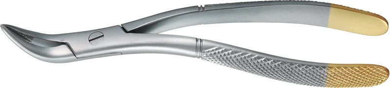 Wurzelzange nach Witzel  Stück  universal, diamantiert