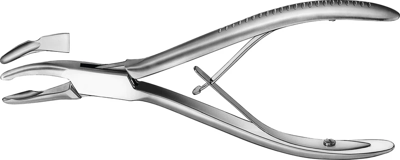 Hohlmeißelzangen  Stück  1835, 16 cm