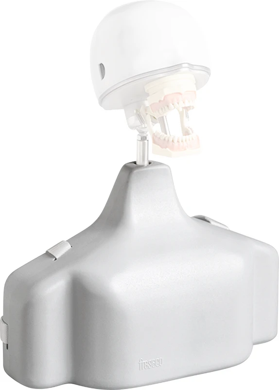 Schulter-Torso  Stück  P-6 TSE