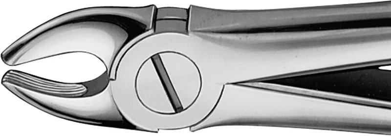 Anatomica-Zahnzangen  Stück  DG032R, kurzes Maul, für obere Eckzähne