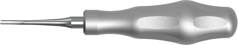 Luxationsinsinstrument LS-Passion  Stück  3 mm, gerade
