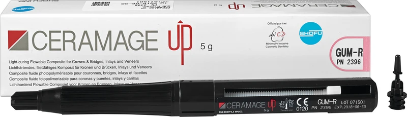 CERAMAGE UP  Spritze  5 g Komposit gum R