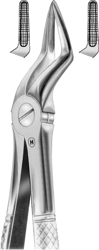 Zahnzangen  Stück  HSA 557-51, Englische Form, für obere Wurzeln