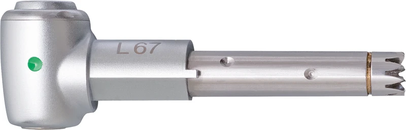 INTRA Kopf L67  Stück  2:1